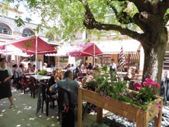 Grande terrasse extérieure fleurie et ombragée